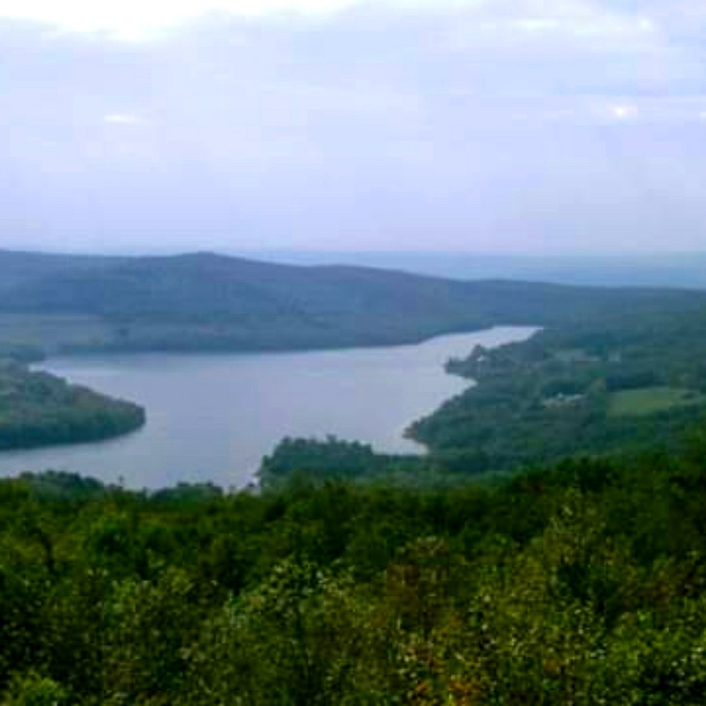 Meet your Posher, Jodie